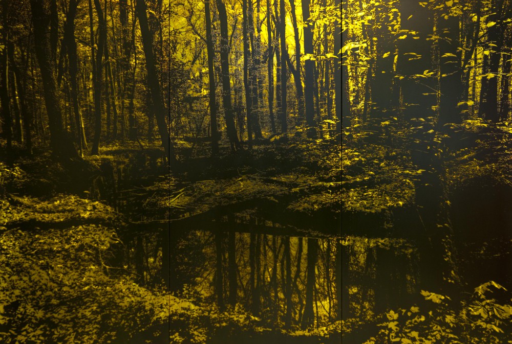 Im Seeholz, 2014, 150x225cm, Übermalter Reliefdruck auf Stahl