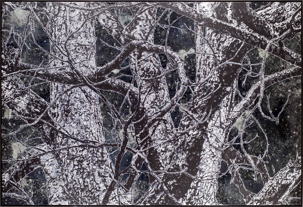 Nachtholz, 2015, 170x250cm, Mischtechnik auf LW
