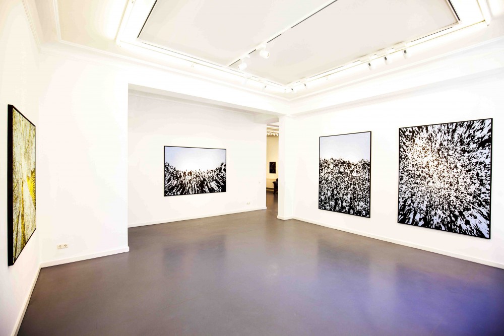 Jan Davidoff @ Ausstellungsansicht Galerie Andreas Binder
